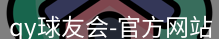 qy球友会